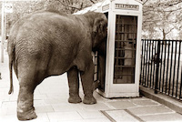 Hello? I'd like to order a pizza.